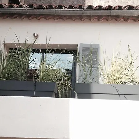 Palm House Appartement Saint-Tropez
